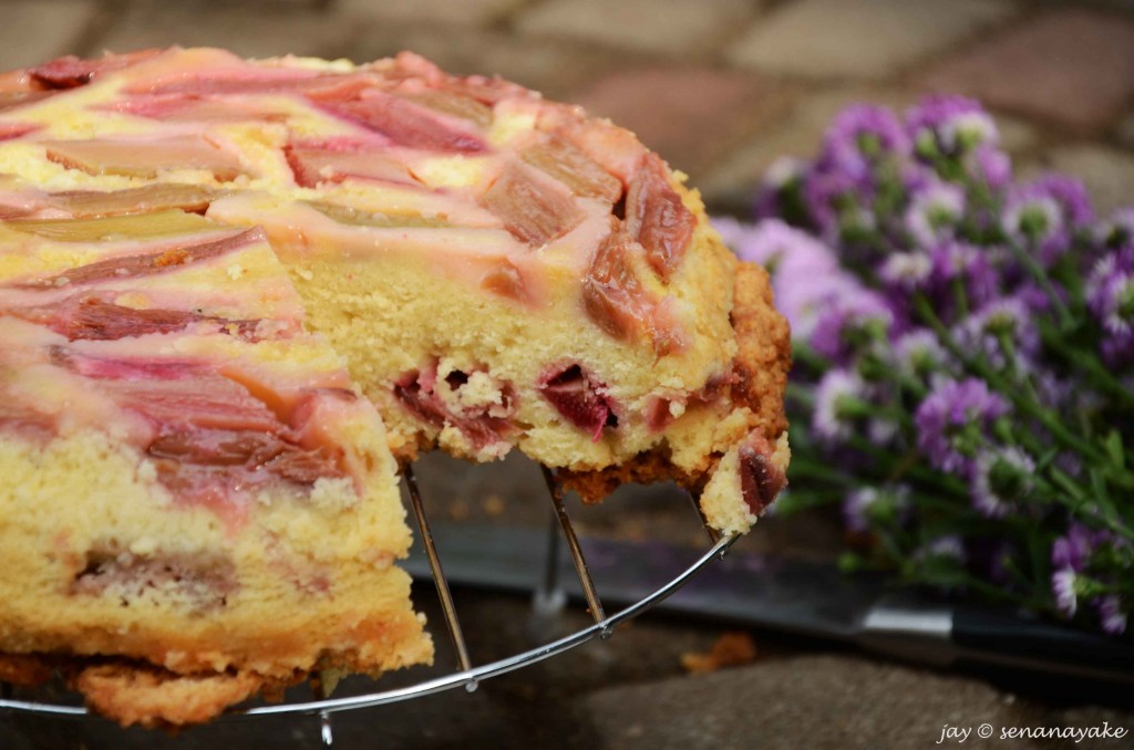 Rhubarb-cake