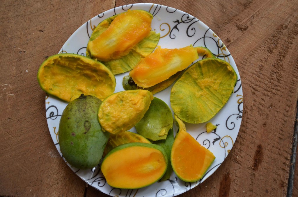 mango peels