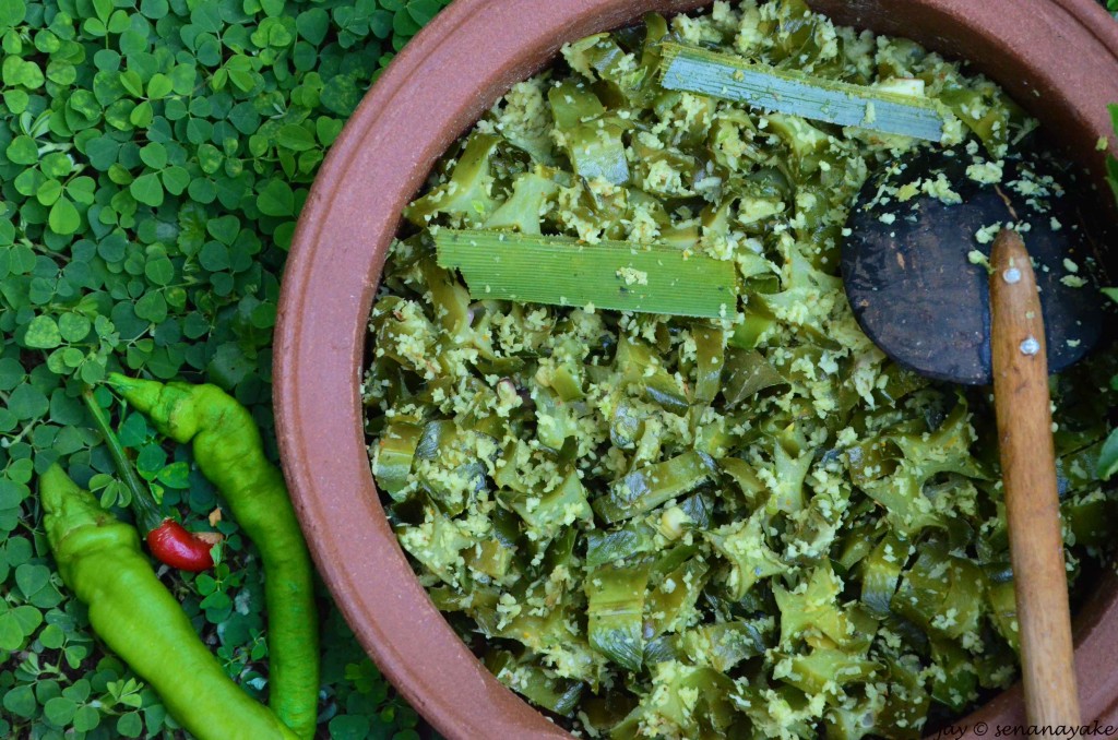 winged-bean-mallum