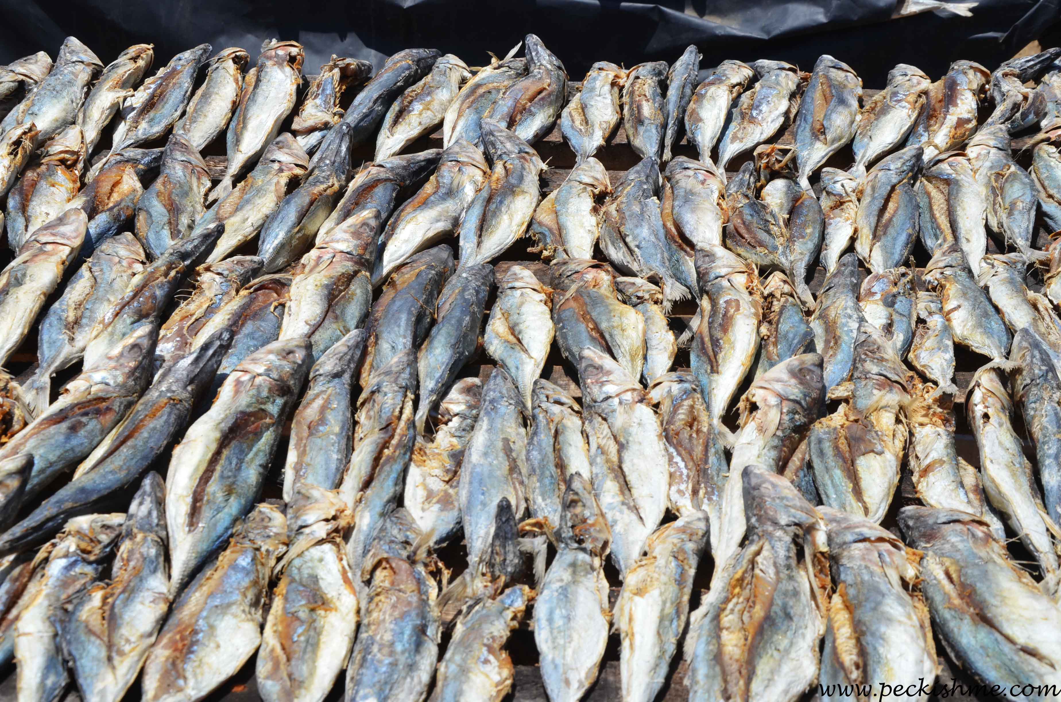 dried fish