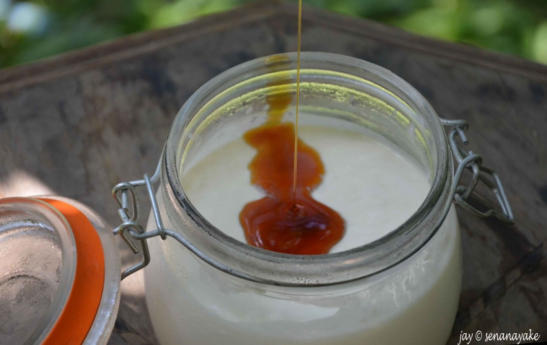 Homemade yogurt Healthy & fresh Peckish Me