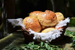 Easy dinner rolls