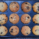 vanilla chocolate chip muffins