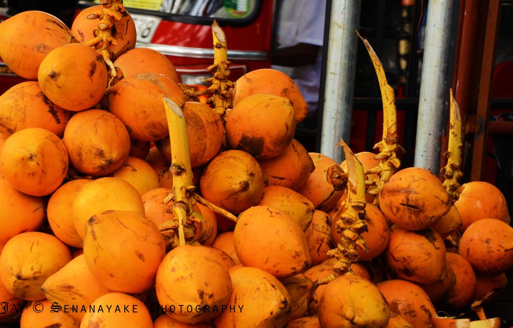King coconut wine Sri Lankan homemade wines Peckish Me